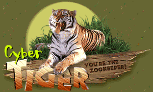 National Geographic Kids Cybertiger game